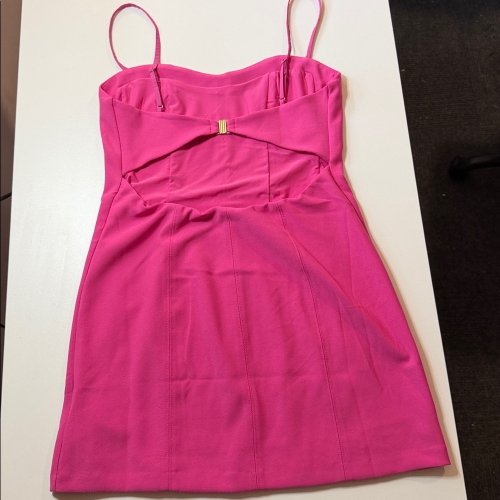Abercrombie & Fitch Fuchsia Corset Dress Size Medium Petite - Picture 5 of 6